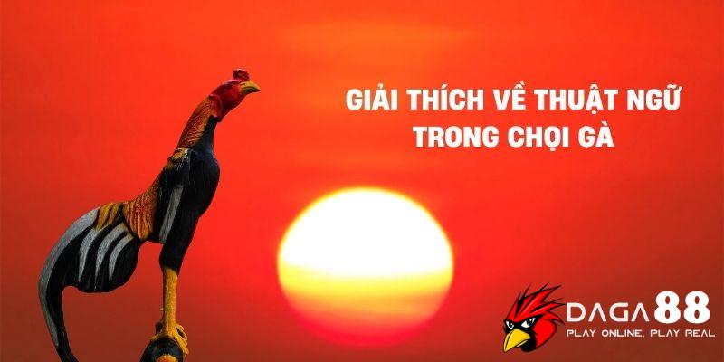 Giải thích về thuật ngữ trong chọi gà