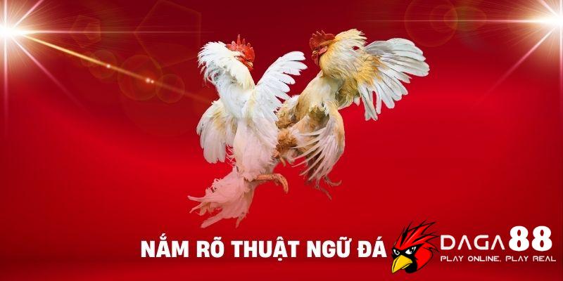 Nắm rõ thuật ngữ đá gà chính xác