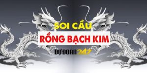 Rồng Bạch Kim 247 - Trang Soi Cầu Xổ Số Số 1 Việt Nam 2024